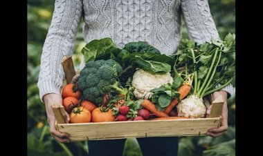 Perfarmers Global Collaborates with Farmers: Delivering Premium Organic Goodness