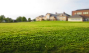 Low-Rise Independent Floors: A Luxurious Lifestyle Choice for Homebuyers