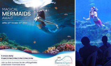 VGP Marine Kingdom Brings First-Ever Mermaid Show to Chennai