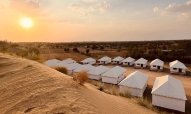 Cozy Soirees to Grand Galas: Hariyali Dhani Makes Every Event Special