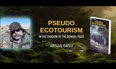 Pseudo Ecotourism in the Shadow of the Bengal Tiger