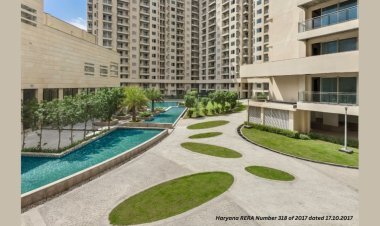 Ambience Group Owner Explains Why Indian Real Estate Optimism is Soaring to a Decadal High in Q1 2024