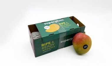 Superplum Launches 'Ripe and Ready to Eat' Mangoes: India's  Favourite Fruit Now Arrives Chilled and Perfectly Sweet Every Time