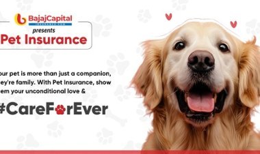 Protecting Pets Just Got Easier: BajajCapital Insurance Launches Comprehensive Pet Insurance Plans