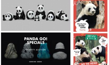 Hong Kong to Host its Largest Panda-themed Exhibition with 2,500 Panda Sculptures on Display at Four Iconic Landmarks