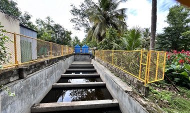 The Art of Living Pioneers Revolutionary Wastewater Treatment with Nature