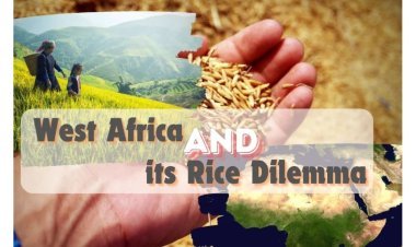 West Africa’s Rice Conundrum by Vivek Gahlaut, Co-Founder – Terra Firma Commodities, Dubai UAE