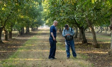 California Walnuts: The Fresh Crop Has Arrived in India = Wellness Within