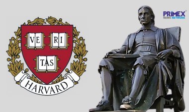 Harvard University Defiance Spurs 3 Key Reactions: Frustration, Fear, and Solidarity on Campus