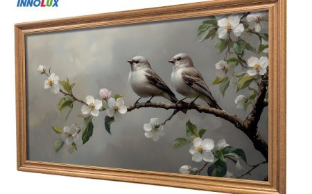 Innolux and CarUX Champion AI-Driven Intelligent Display: Shaping a New Vision for Urban Spaces and Smart Mobility Solutions at Display Week 2025