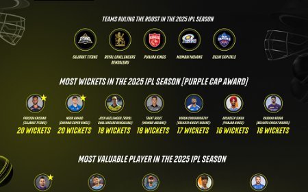 Players and Teams Ruling the Roost in IPL 2025