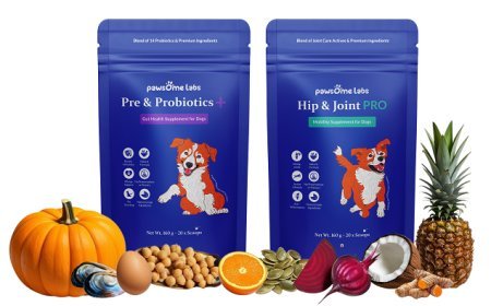 Pawsome Labs is Raising the Bar for Pet Wellness in India