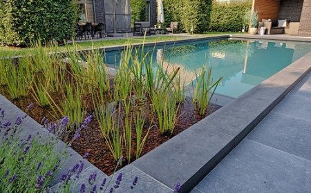 EcoScapes Landscaping Collaborates with Fluidra India to Source Premium Bio Swimming Pool Systems and Materials