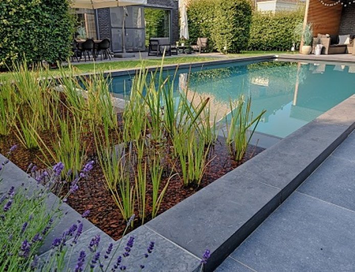 EcoScapes Landscaping Collaborates with Fluidra India to Source Premium Bio Swimming Pool Systems and Materials