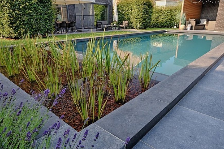 EcoScapes Landscaping Collaborates with Fluidra India to Source Premium Bio Swimming Pool Systems and Materials