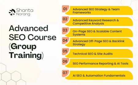 What You Can Learn and Master in Shanta Narang’s Advanced SEO Course